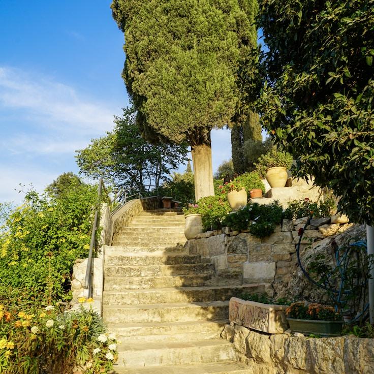 Entertainment zone at night in France